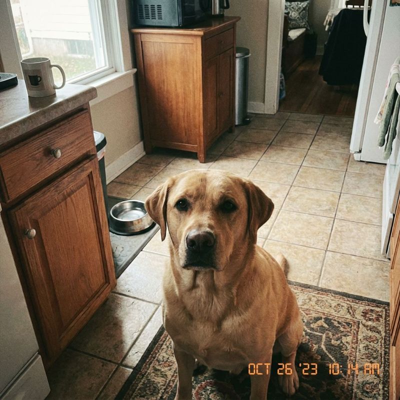 Original photo of Bobby